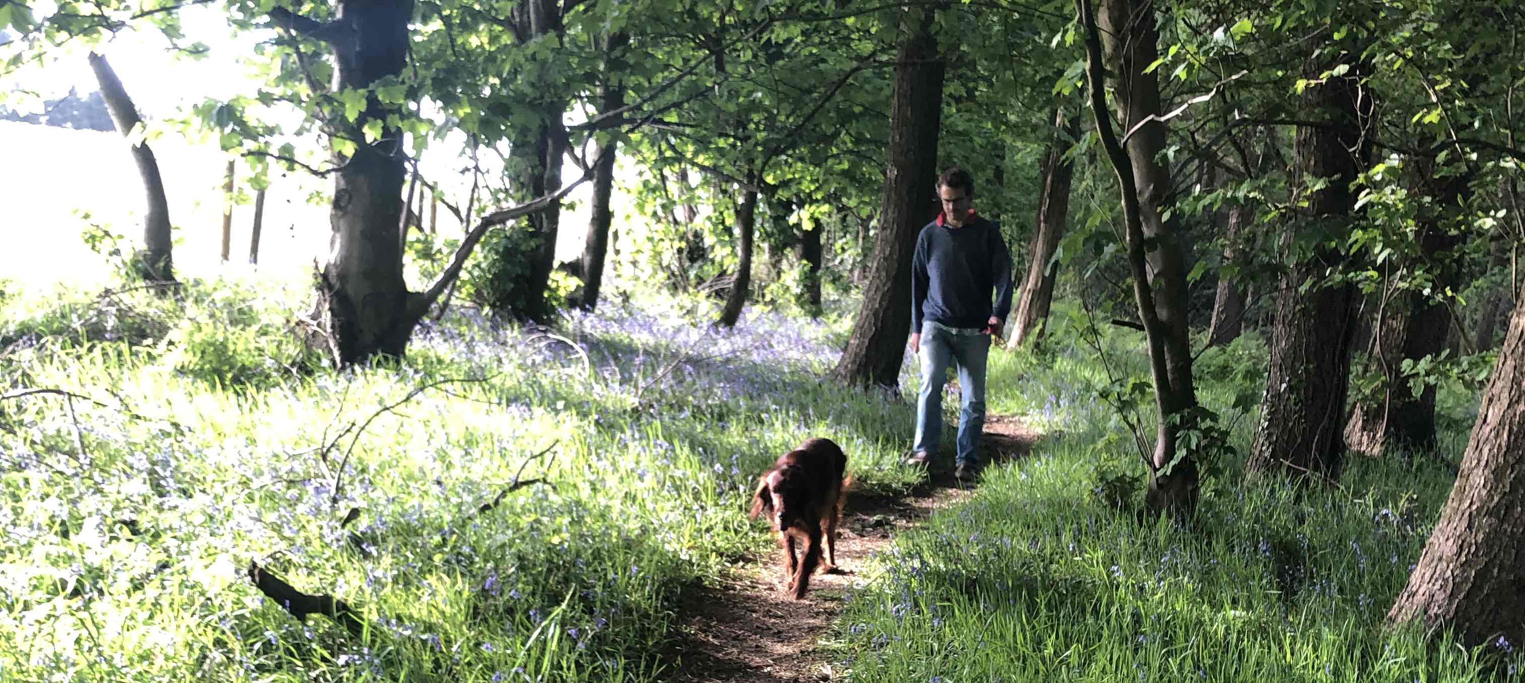 Man walking with dog in woodland